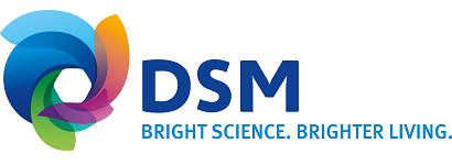 logo-DSM.png